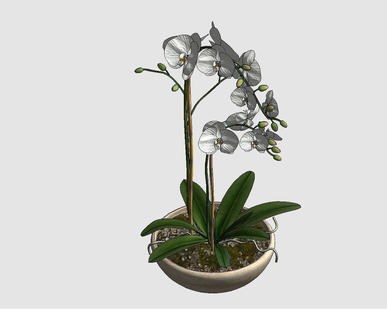 Revit Family plant - Three sizes- High quality 3D model 3D model_43