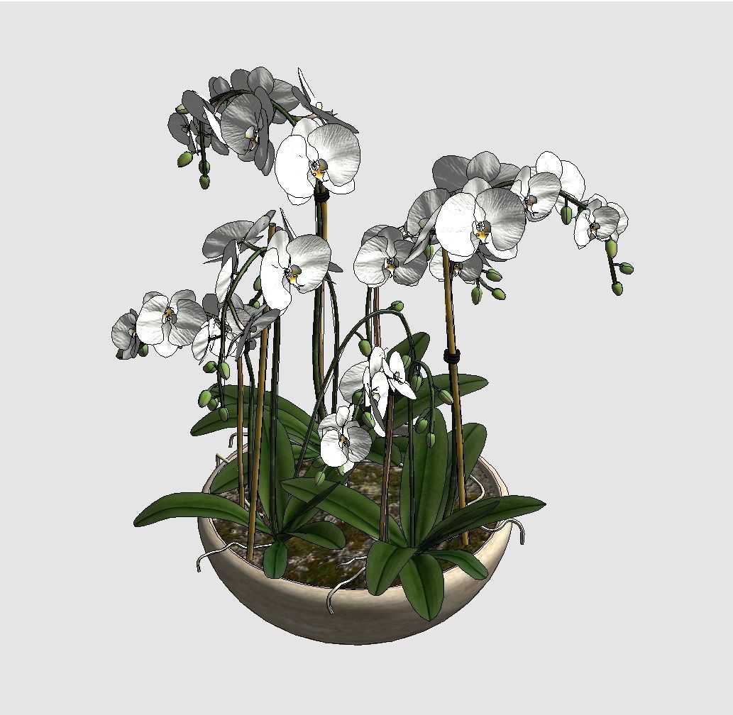 Revit Family plant - Three sizes- High quality 3D model 3D model_19