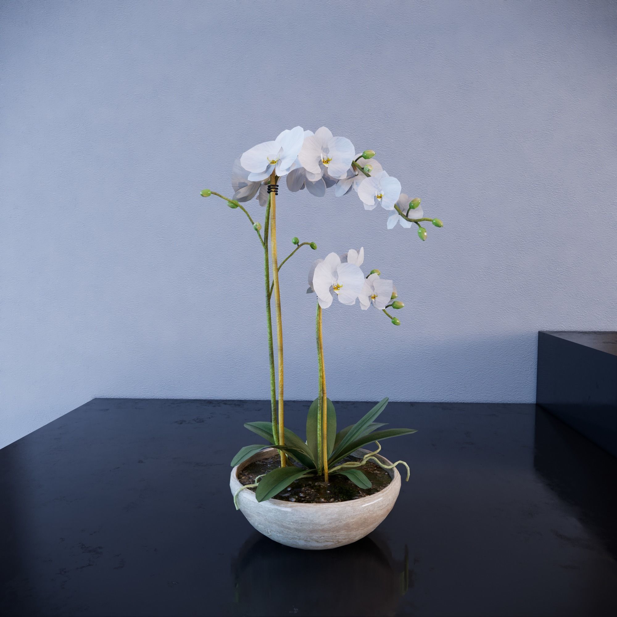 Revit Family plant - Three sizes- High quality 3D model 3D model_6