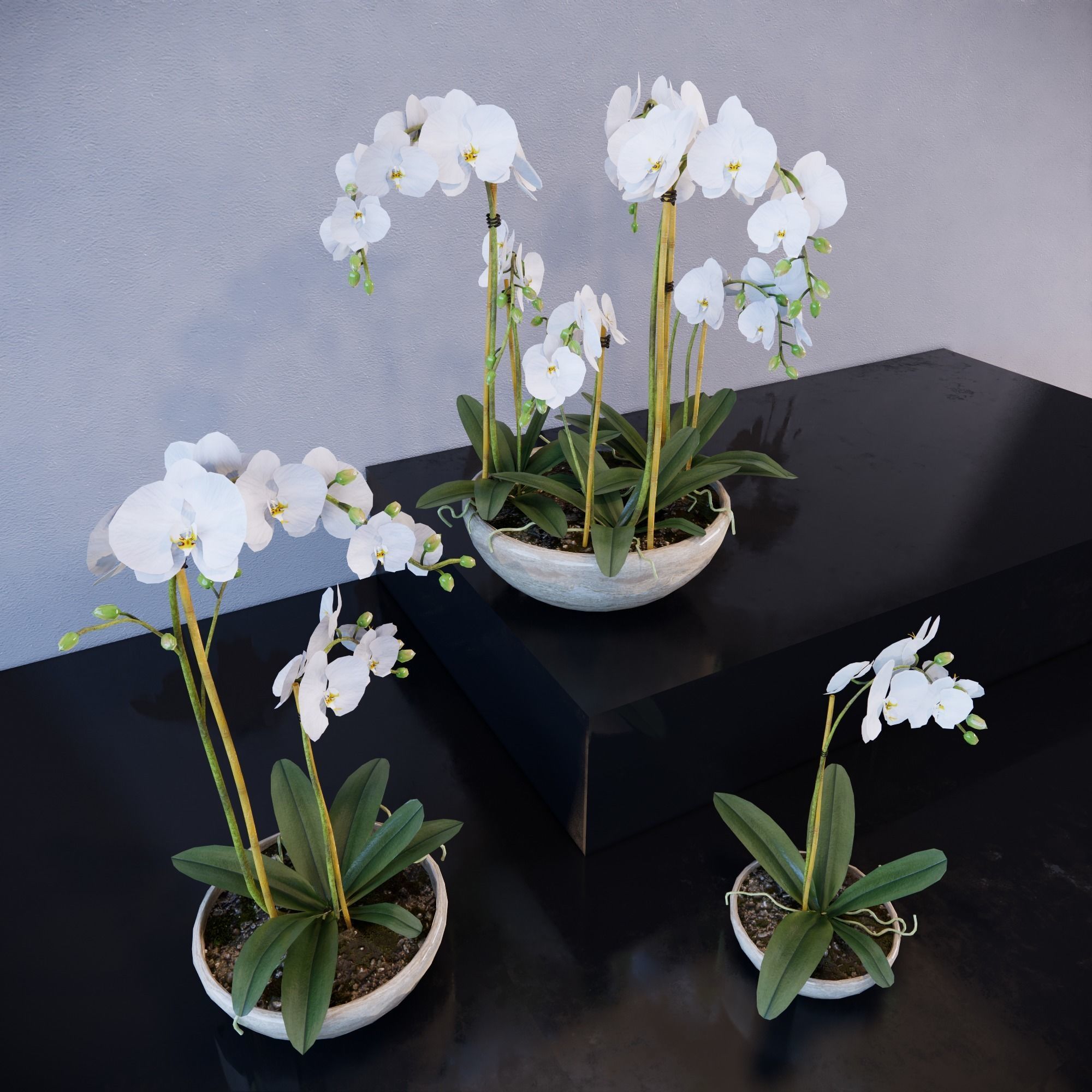 Revit Family plant - Three sizes- High quality 3D model 3D model_1