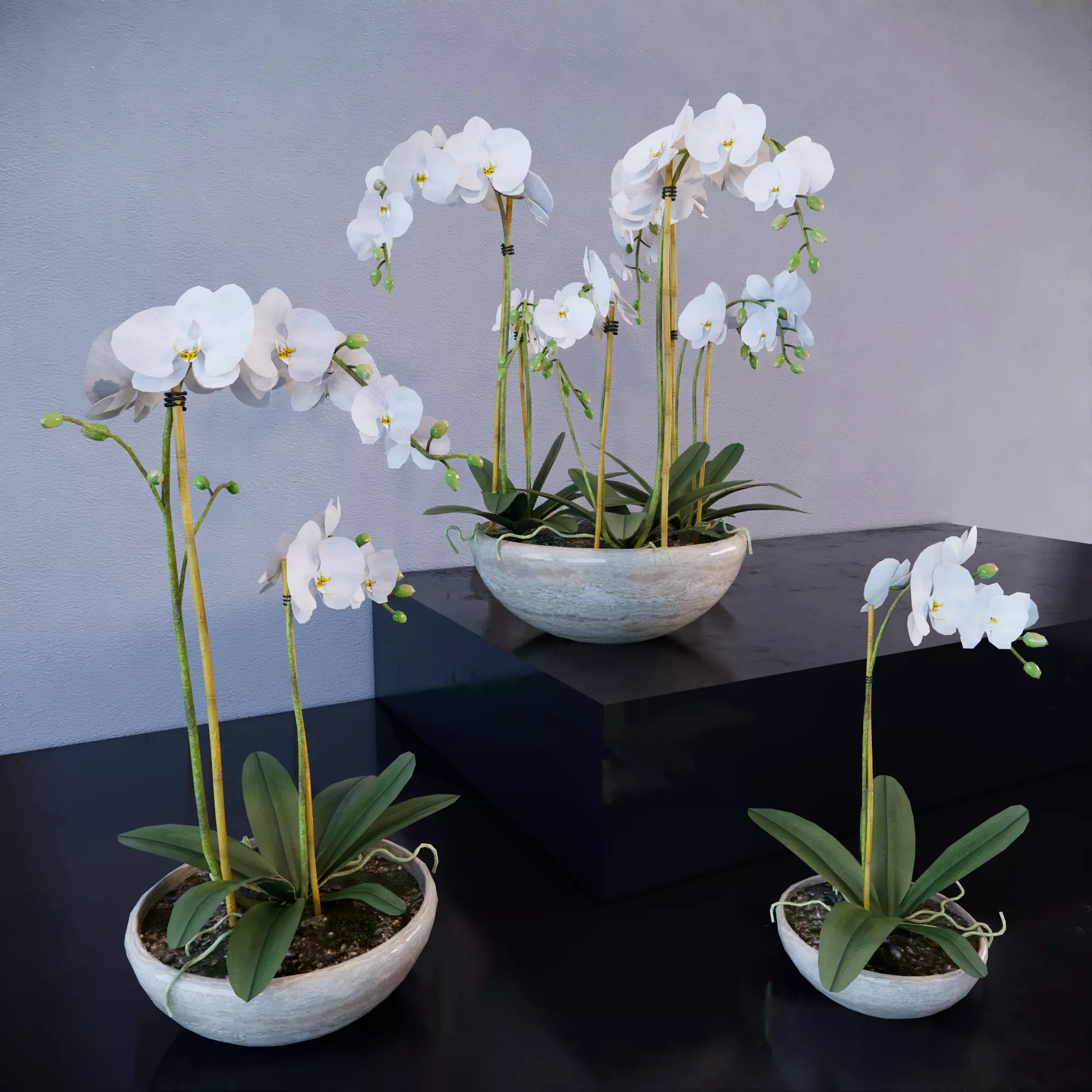 Revit Family plant - Three sizes- High quality 3D model 3D model_0