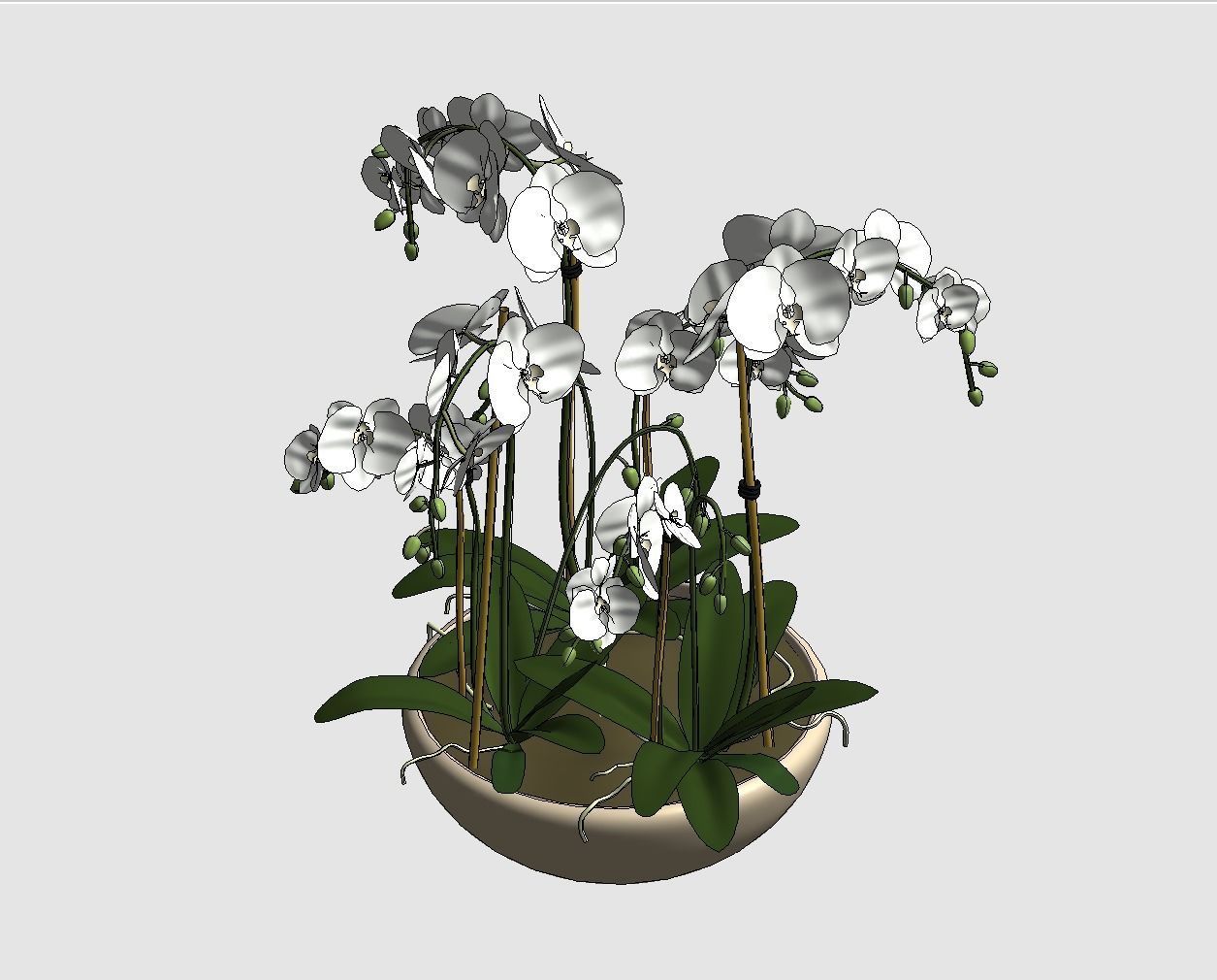 Revit Family plant - Three sizes- High quality 3D model 3D model_21