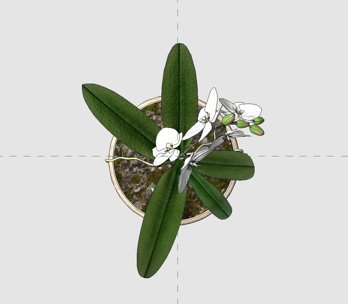 Revit Family plant - Three sizes- High quality 3D model 3D model_27