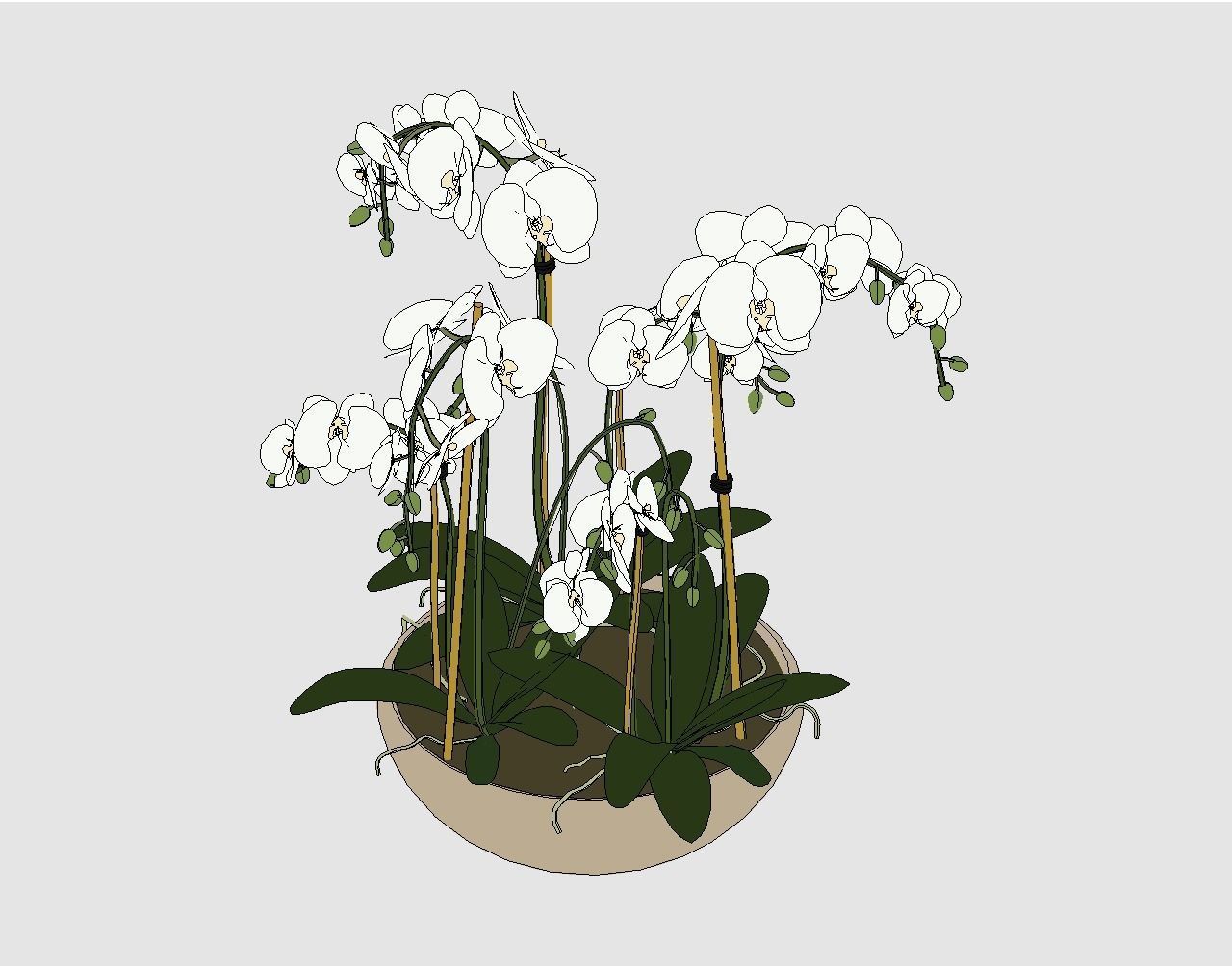 Revit Family plant - Three sizes- High quality 3D model 3D model_20