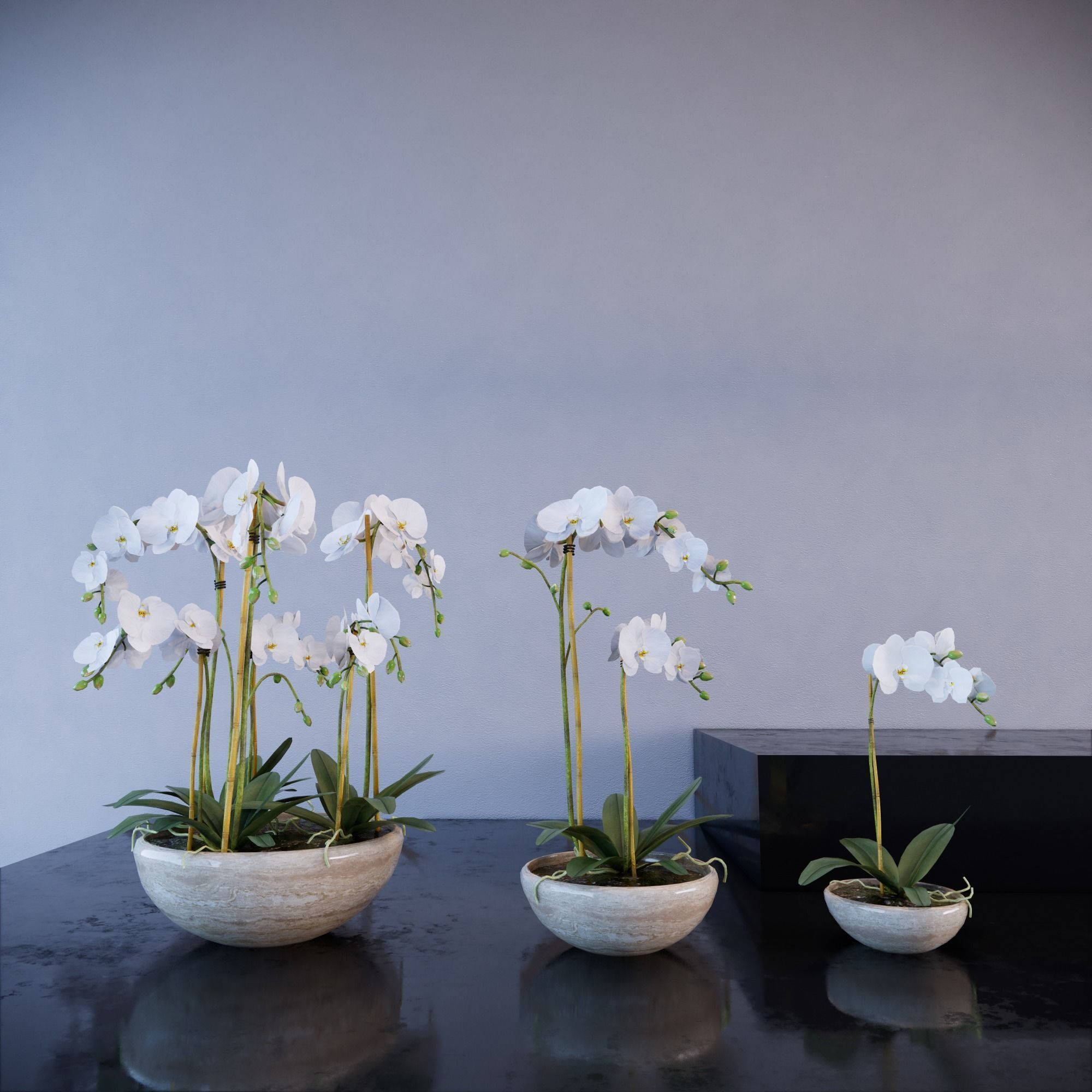 Revit Family plant - Three sizes- High quality 3D model 3D model_10