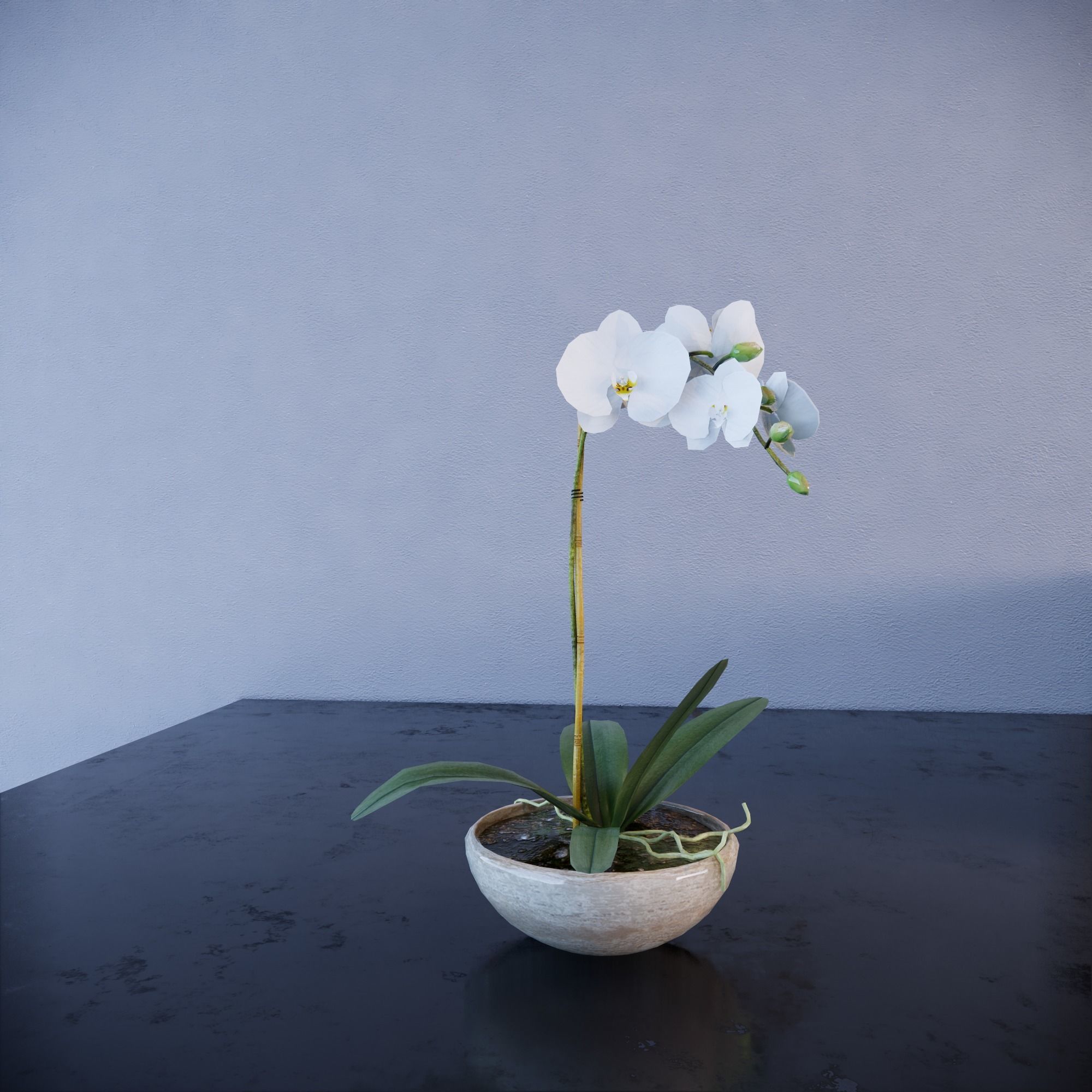 Revit Family plant - Three sizes- High quality 3D model 3D model_7