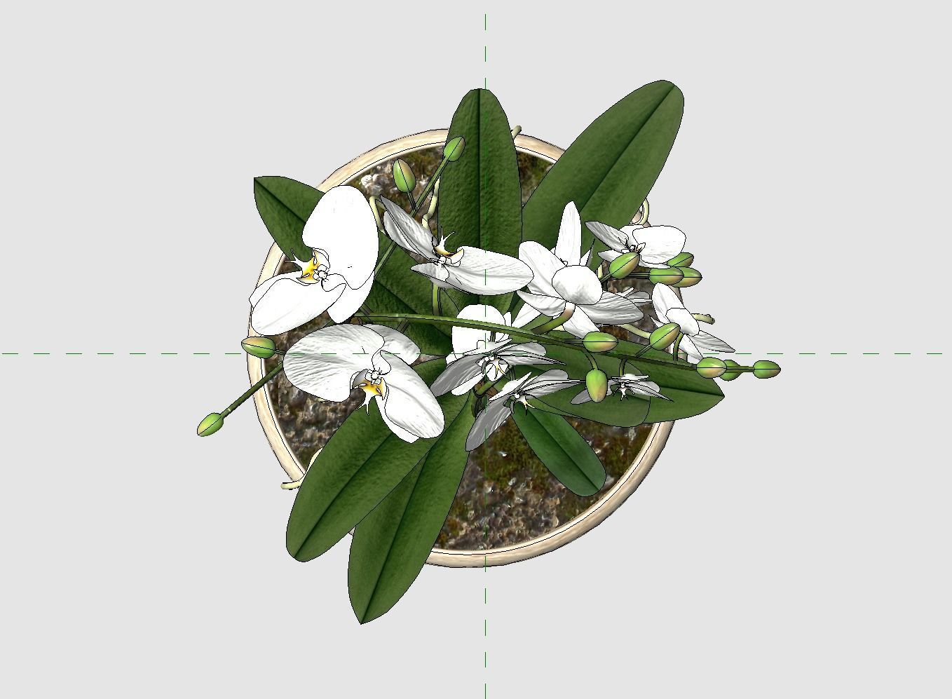 Revit Family plant - Three sizes- High quality 3D model 3D model_39