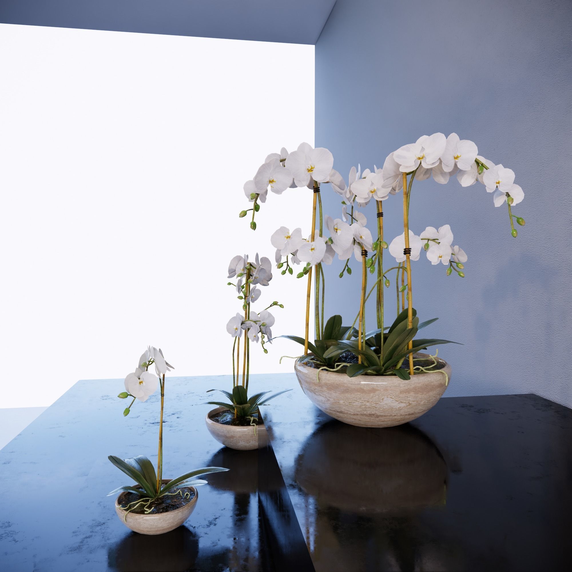 Revit Family plant - Three sizes- High quality 3D model 3D model_5