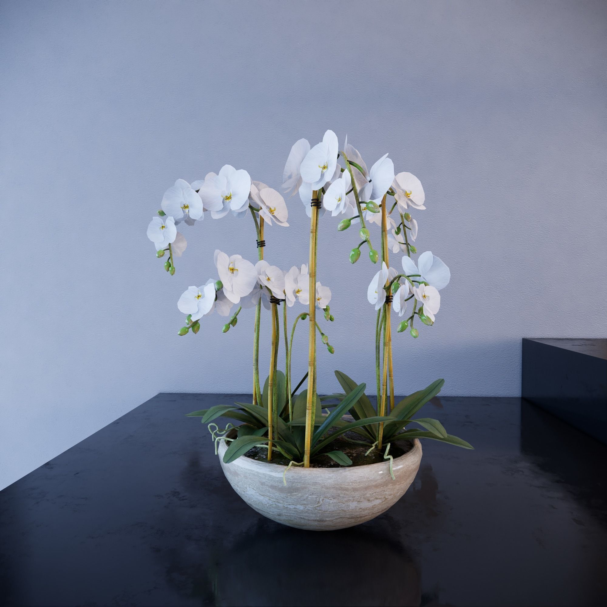 Revit Family plant - Three sizes- High quality 3D model 3D model_8