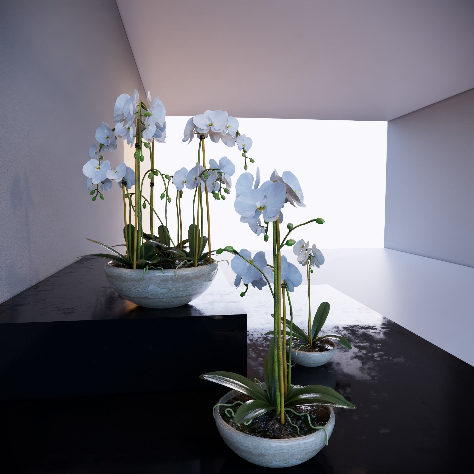 Revit Family plant - Three sizes- High quality 3D model 3D model_4