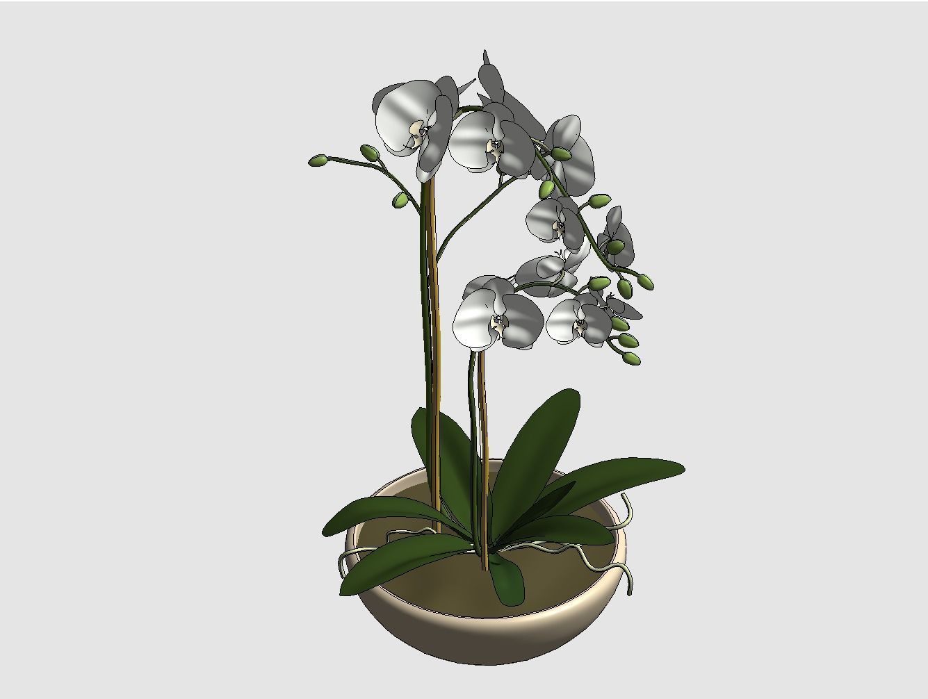 Revit Family plant - Three sizes- High quality 3D model 3D model_45