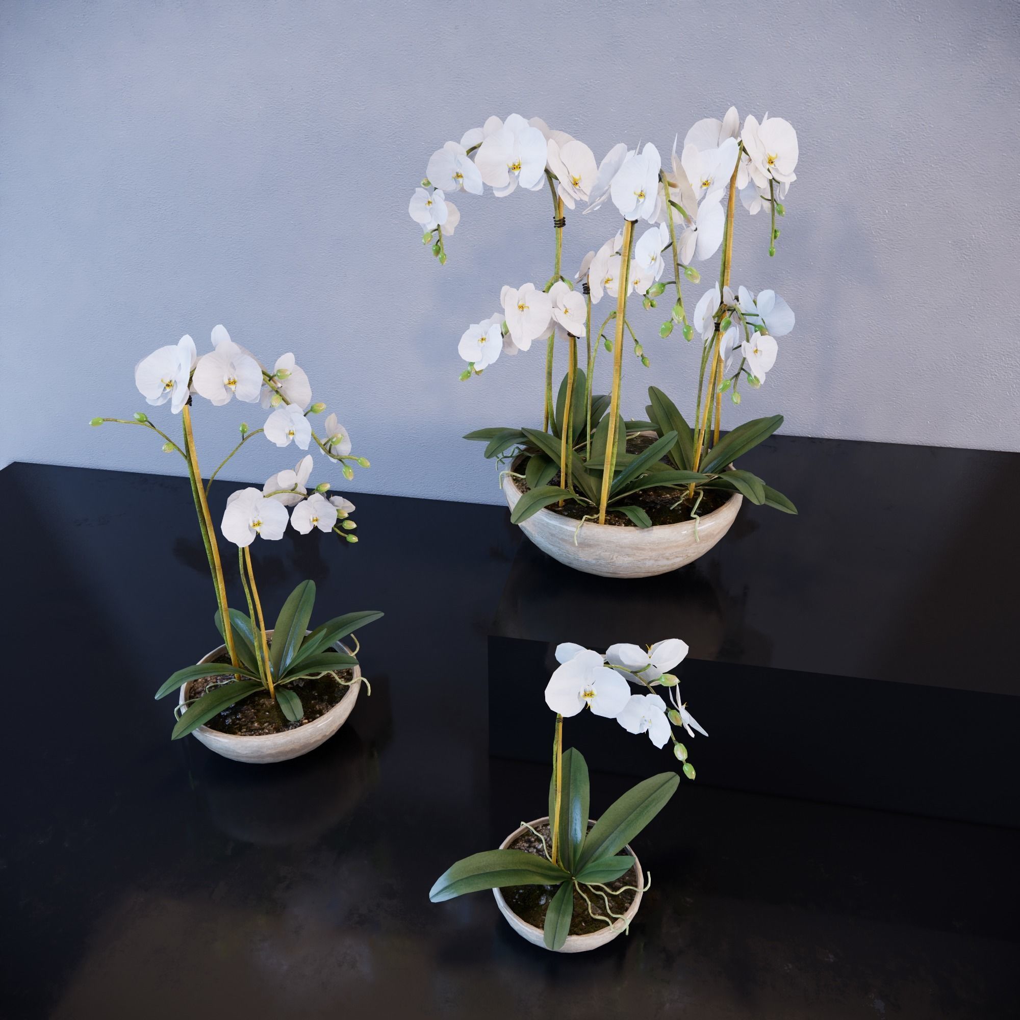 Revit Family plant - Three sizes- High quality 3D model 3D model_2