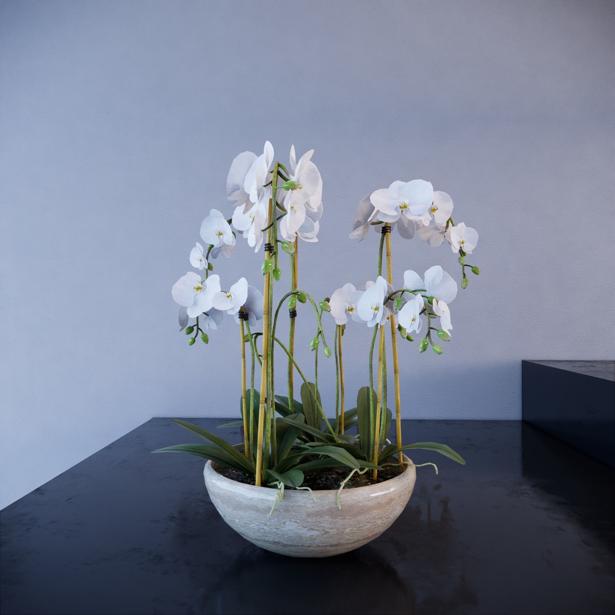 Revit Family plant - Three sizes- High quality 3D model 3D model_9