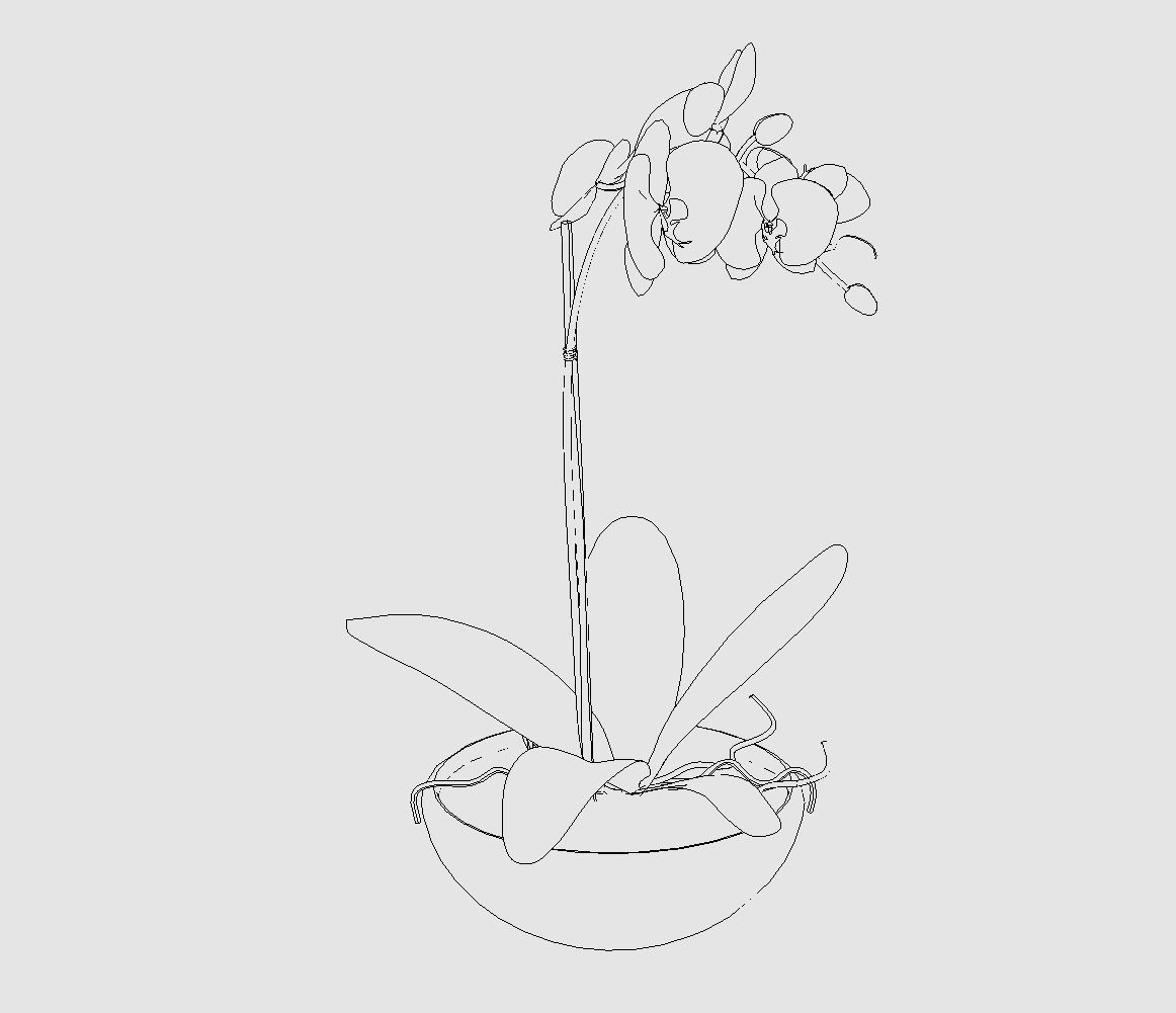 Revit Family plant - Three sizes- High quality 3D model 3D model_34