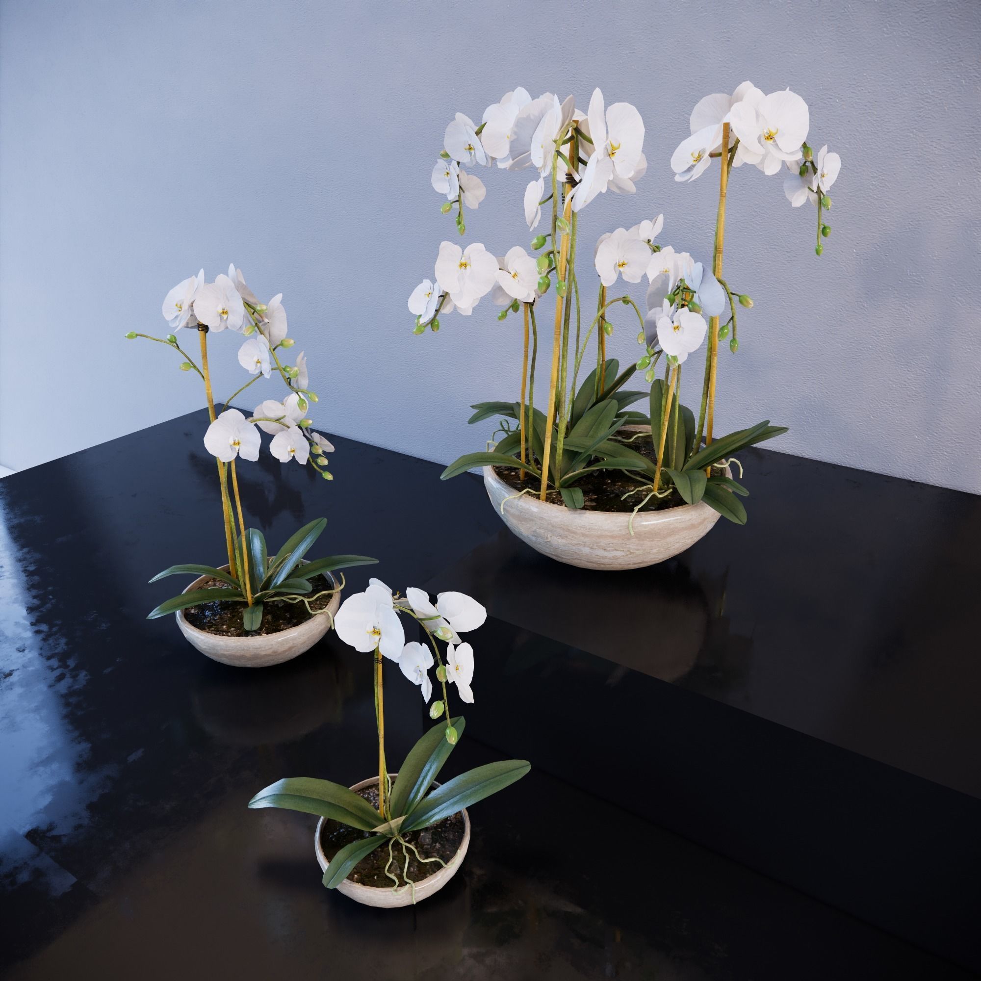 Revit Family plant - Three sizes- High quality 3D model 3D model_3