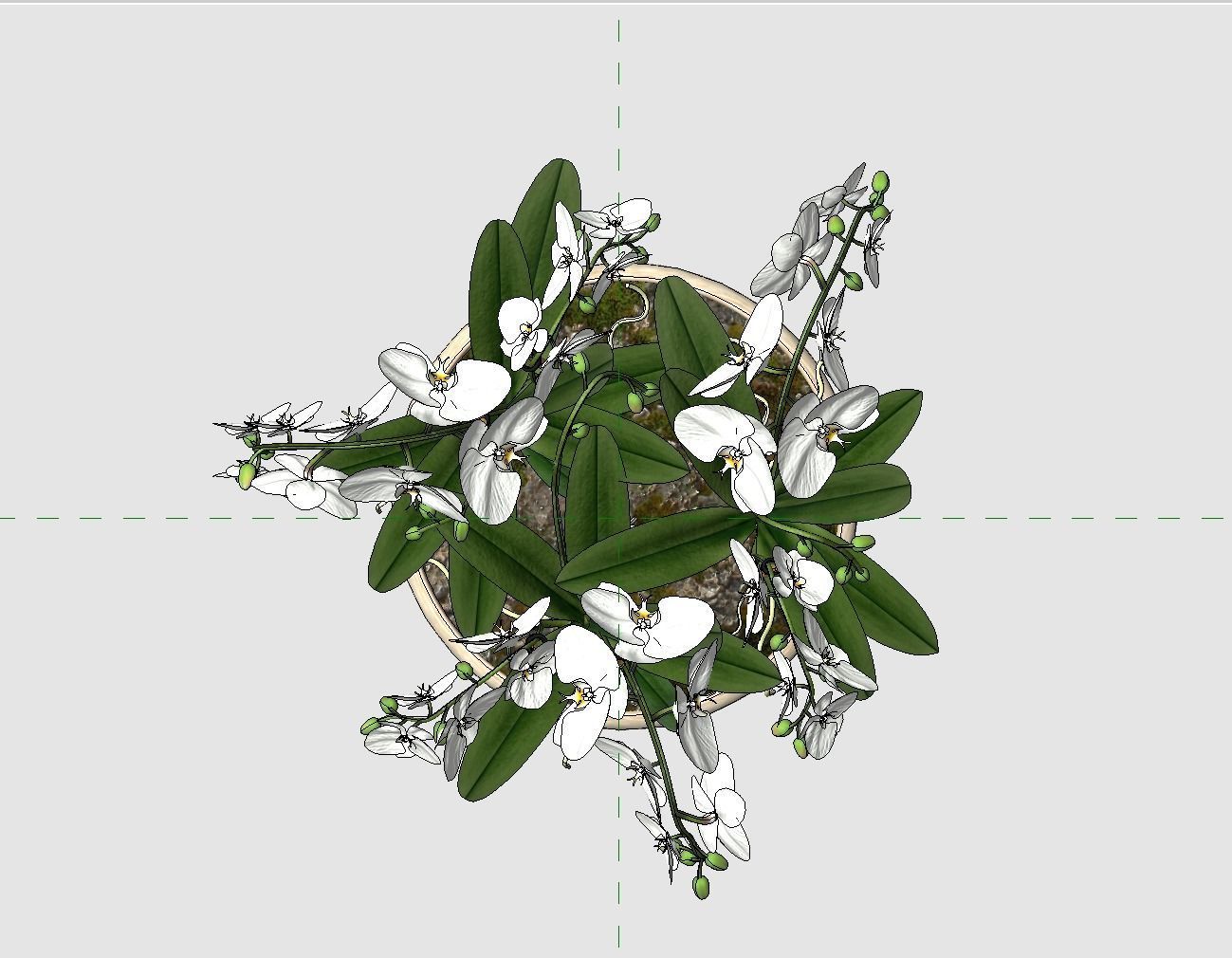 Revit Family plant - Three sizes- High quality 3D model 3D model_15