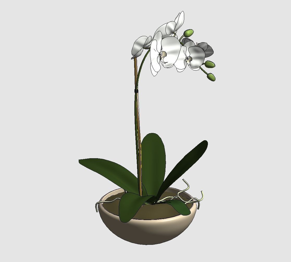 Revit Family plant - Three sizes- High quality 3D model 3D model_33