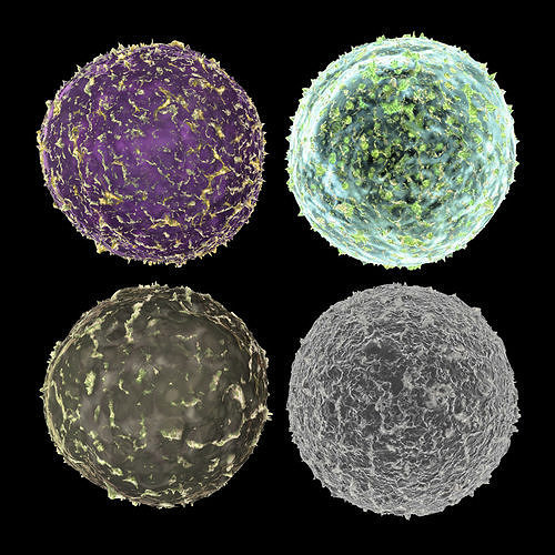 4 Virus Set cell 3D model