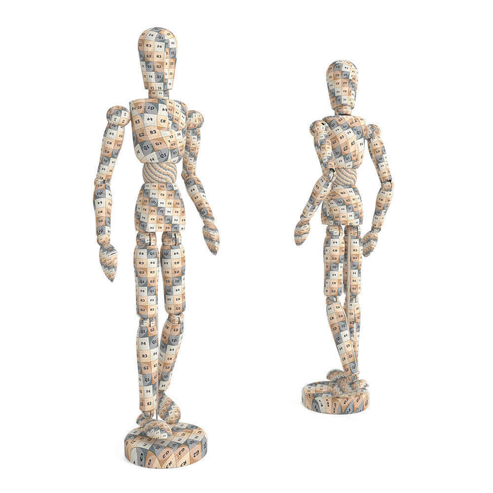 Human Mannequin 3D model_5