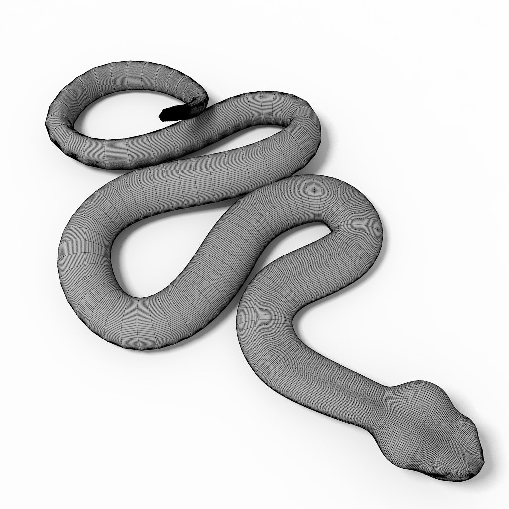 Rattlesnake pose 2 3D model_6