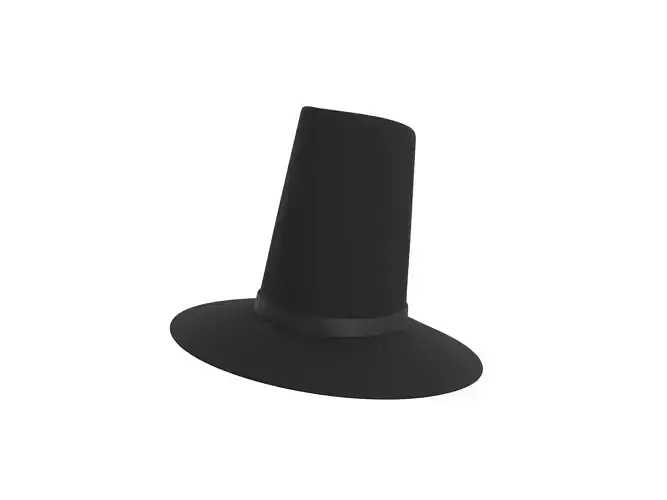 Hat 002 3D model