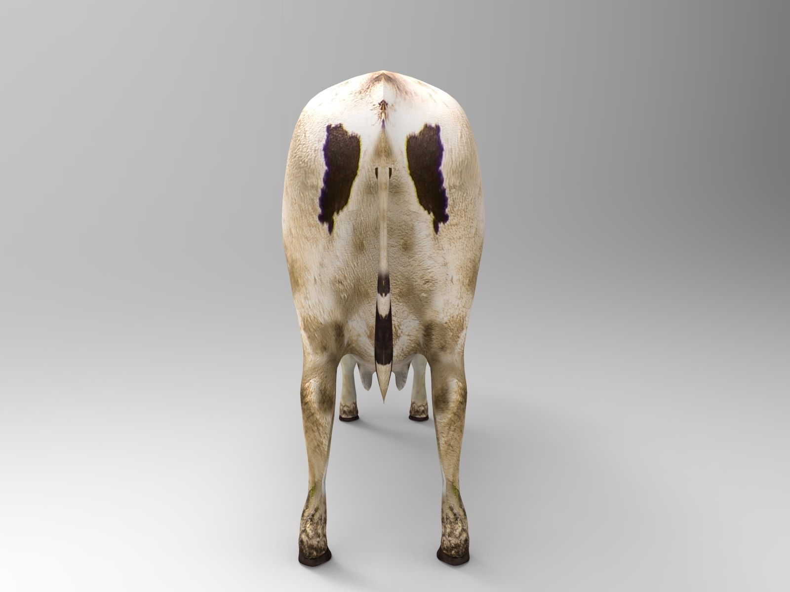 Black White Cow  Low-poly 3D model_8