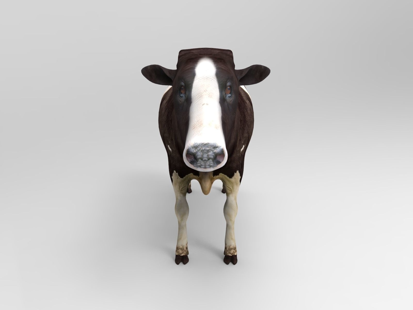 Black White Cow  Low-poly 3D model_1