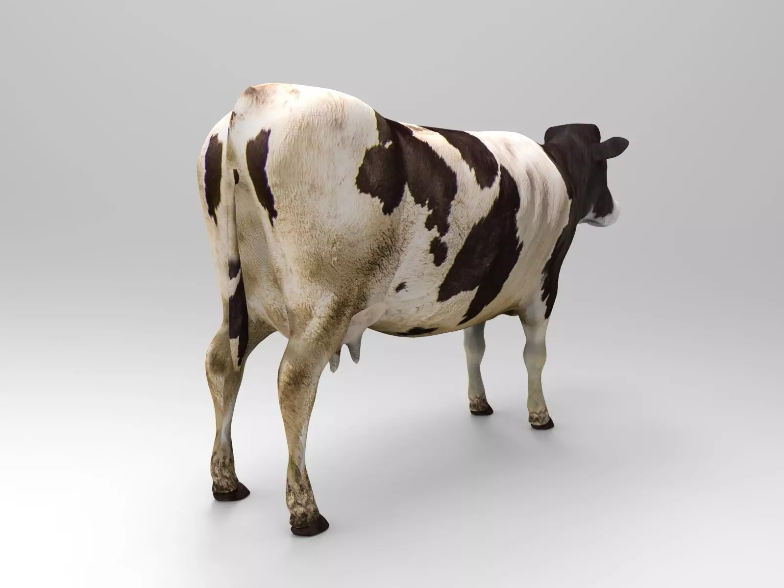 Black White Cow  Low-poly 3D model_0