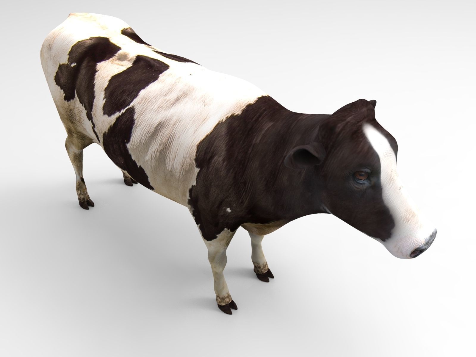 Black White Cow  Low-poly 3D model_10