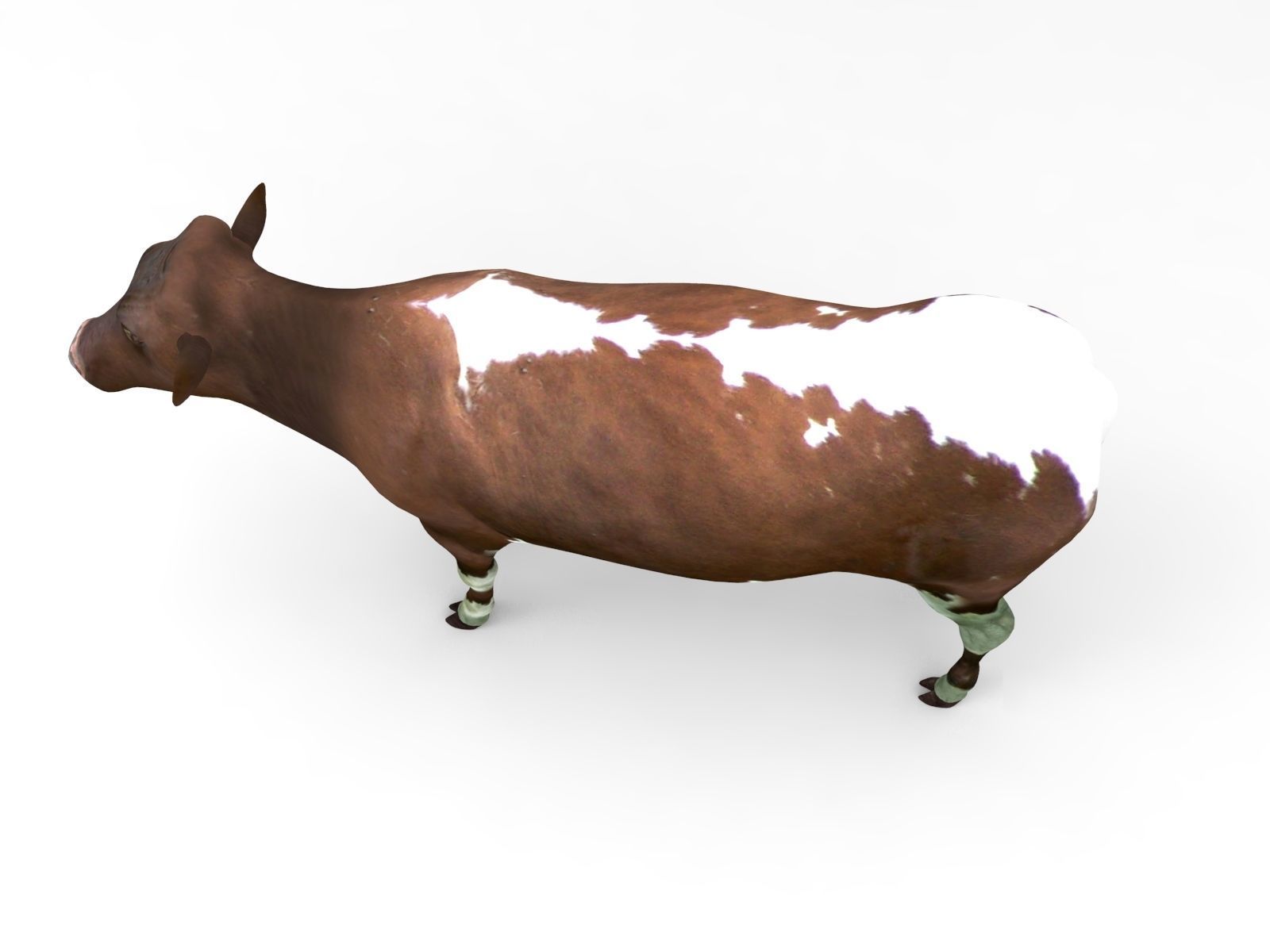 Brown Cow low poly  Low-poly 3D model_2