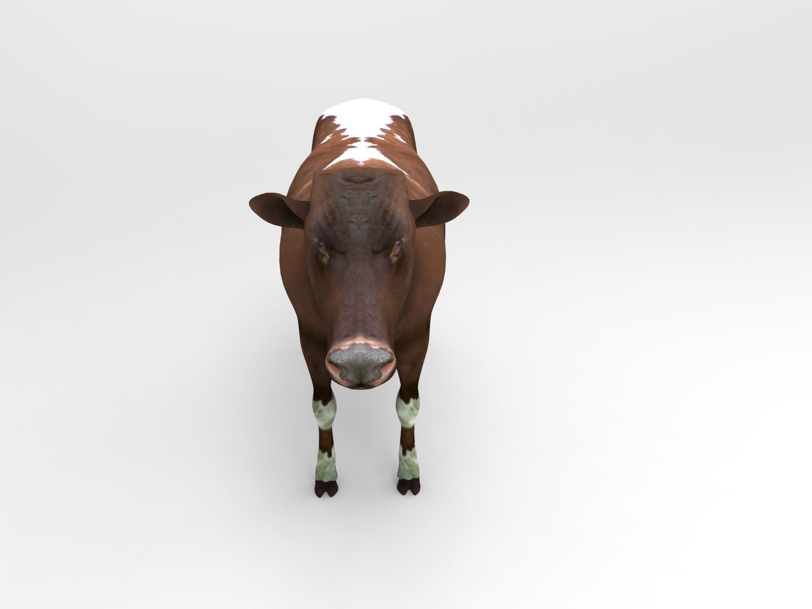 Brown Cow low poly  Low-poly 3D model_3