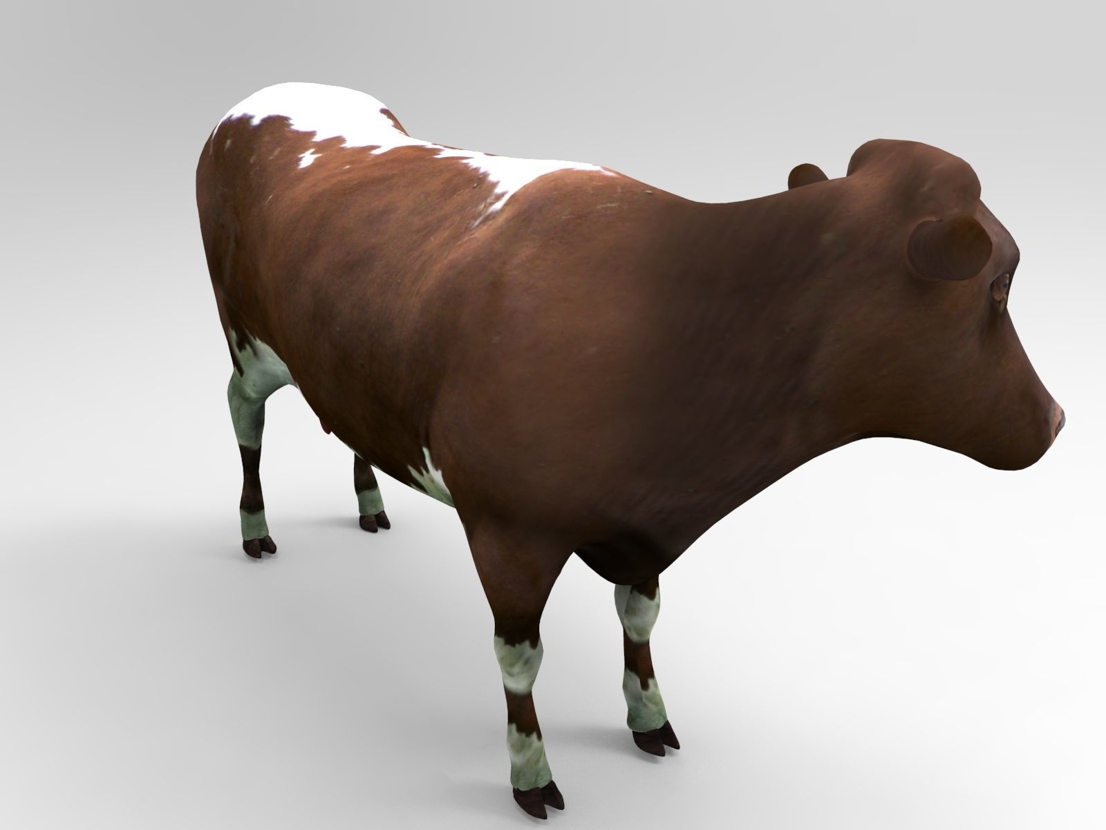 Brown Cow low poly  Low-poly 3D model_13