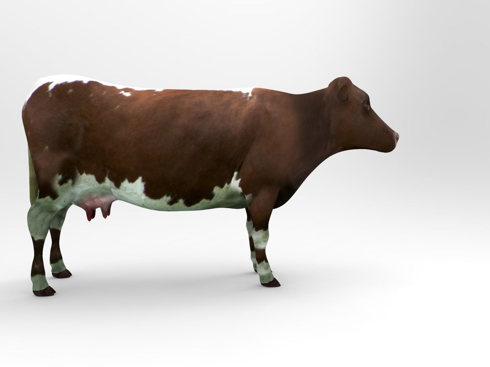 Brown Cow low poly  Low-poly 3D model_5