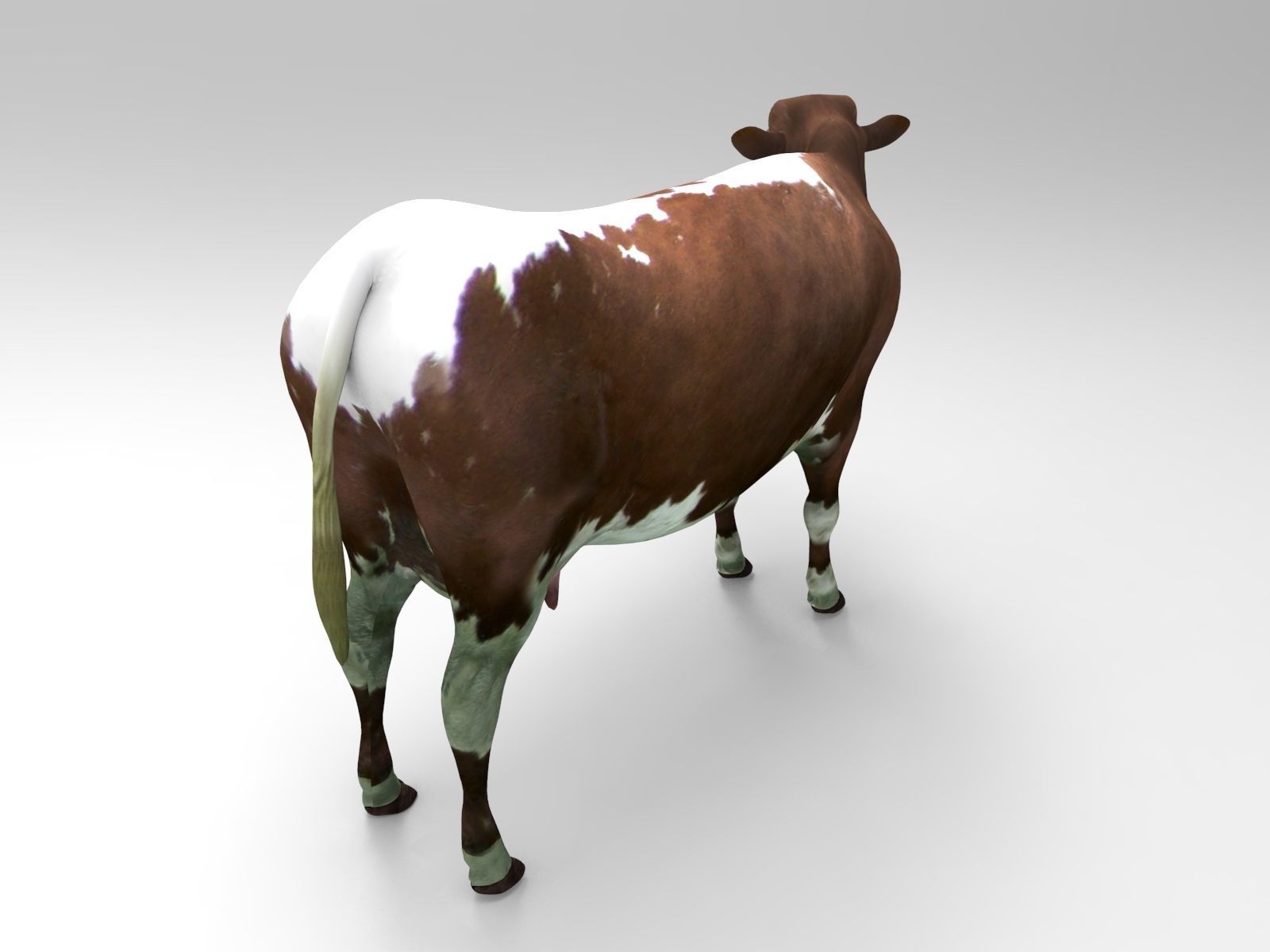 Brown Cow low poly  Low-poly 3D model_10