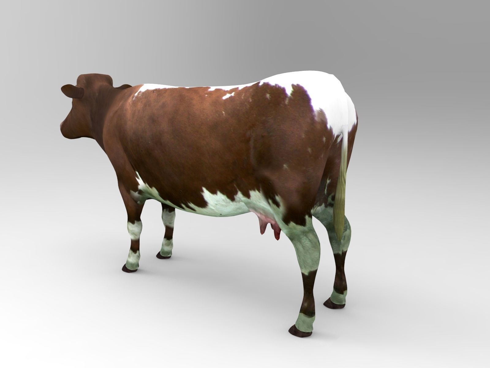 Brown Cow low poly  Low-poly 3D model_1