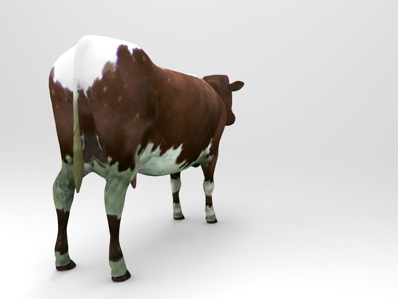 Brown Cow low poly  Low-poly 3D model_6