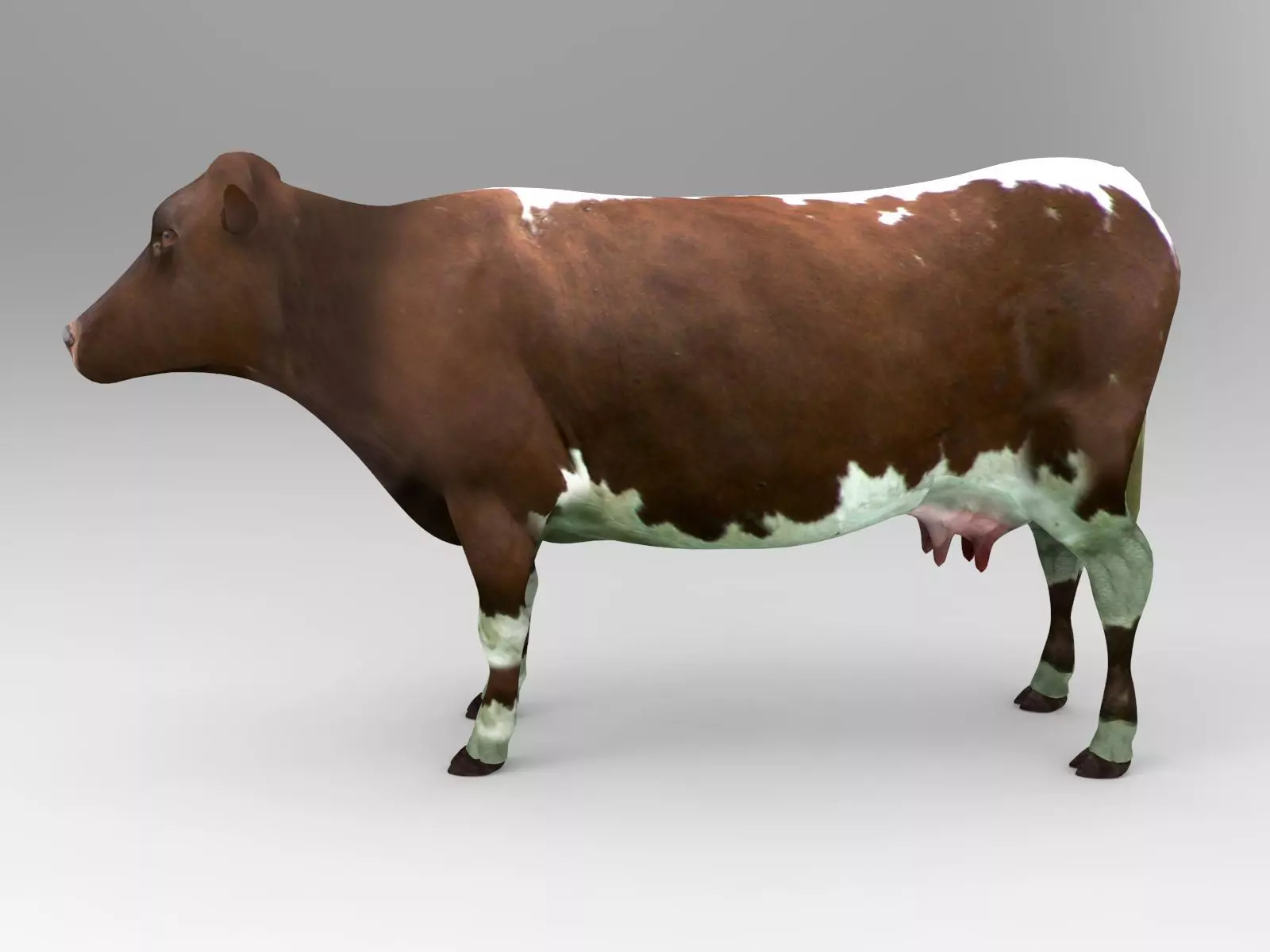 Brown Cow low poly  Low-poly 3D model_0