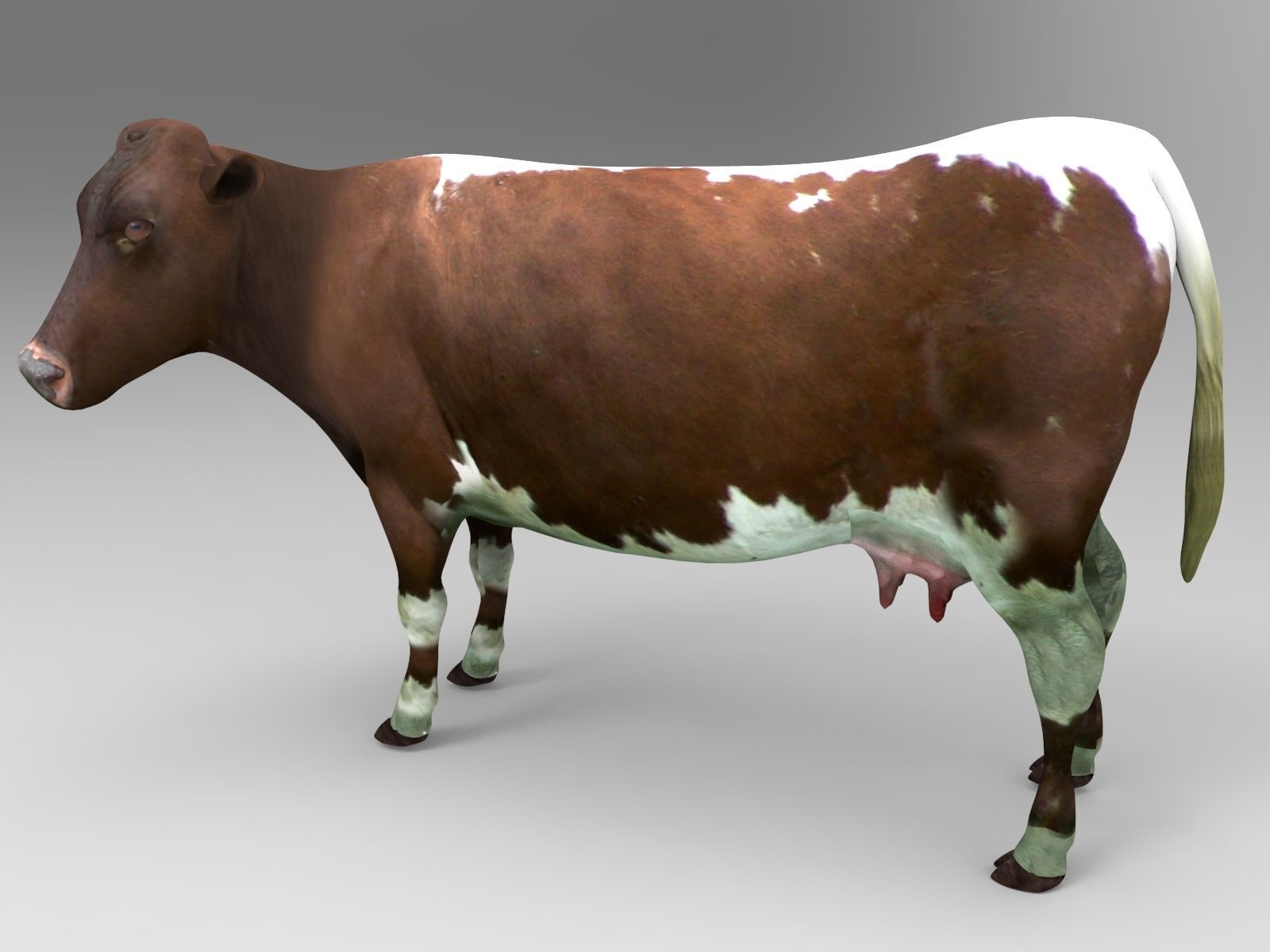 Brown Cow low poly  Low-poly 3D model_11
