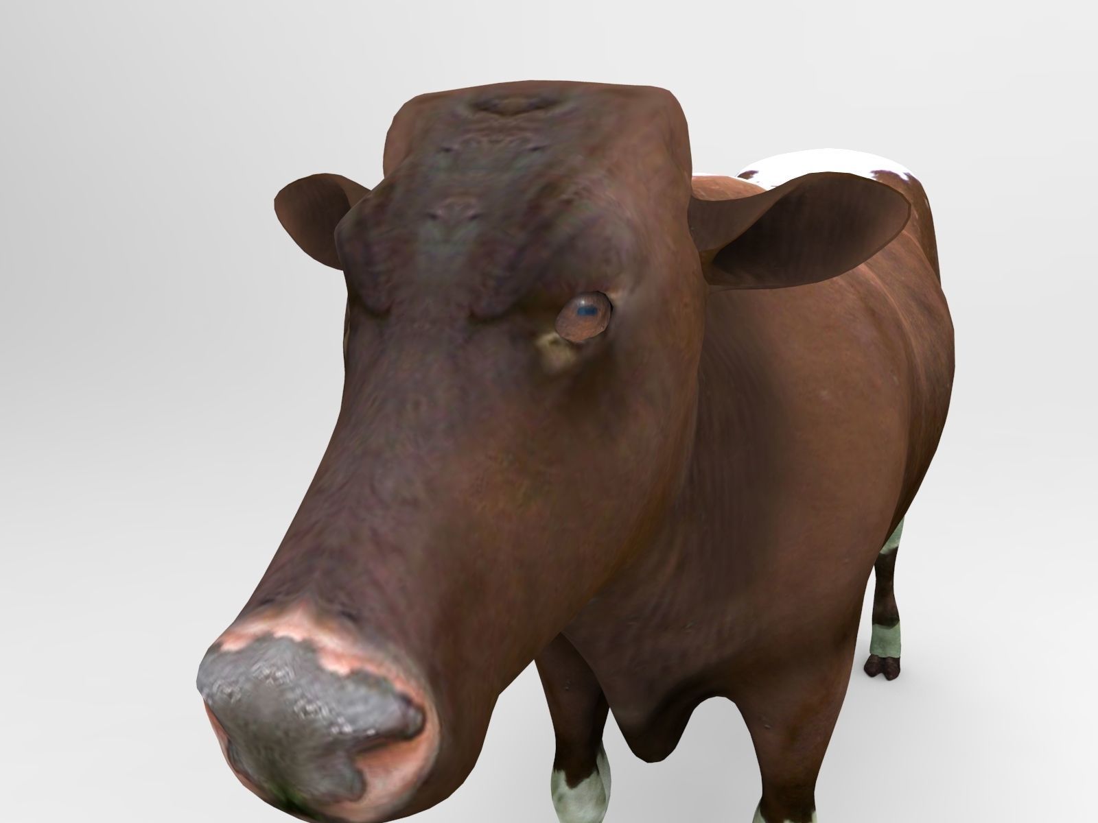 Brown Cow low poly  Low-poly 3D model_9