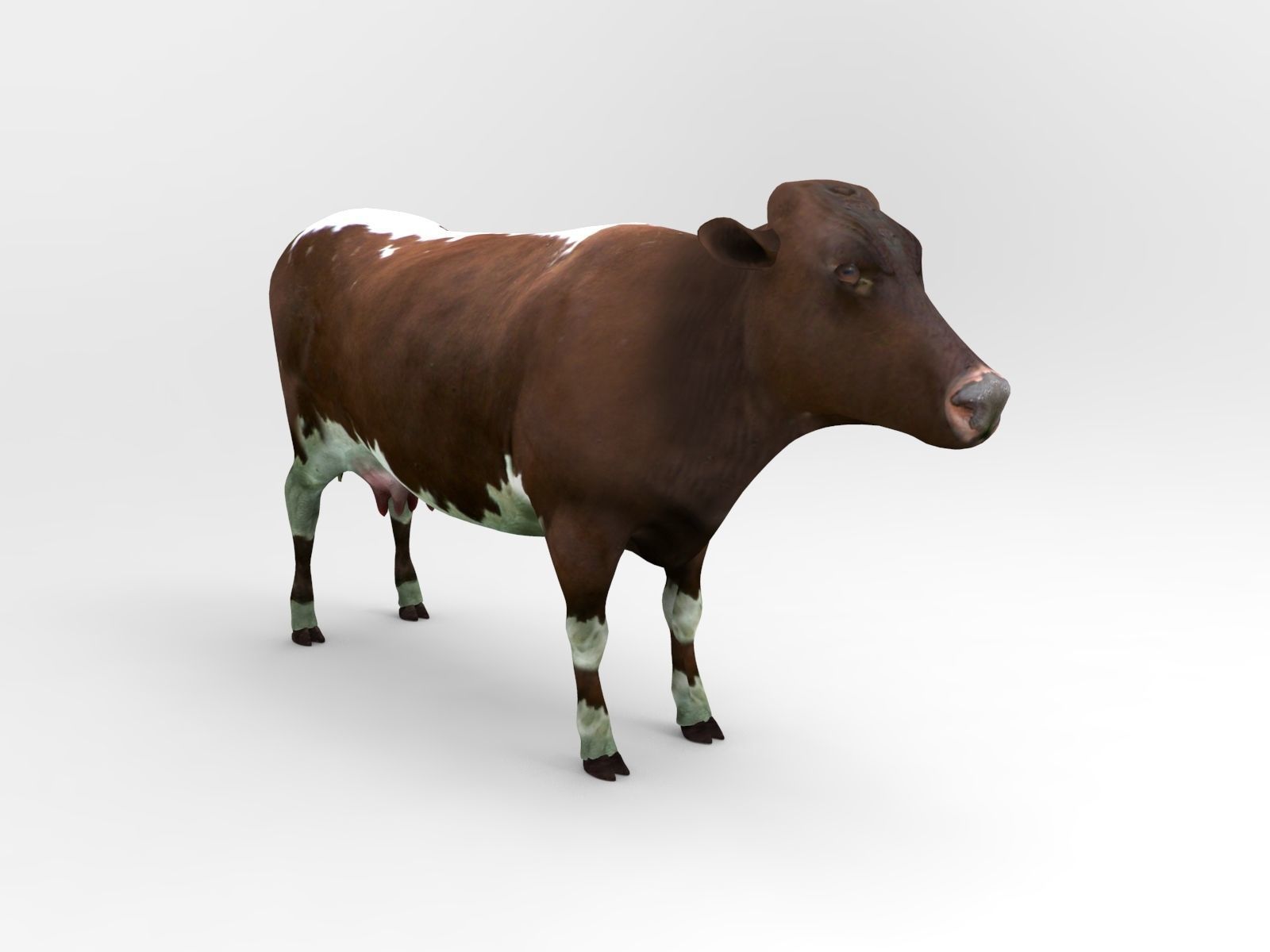 Brown Cow low poly  Low-poly 3D model_4