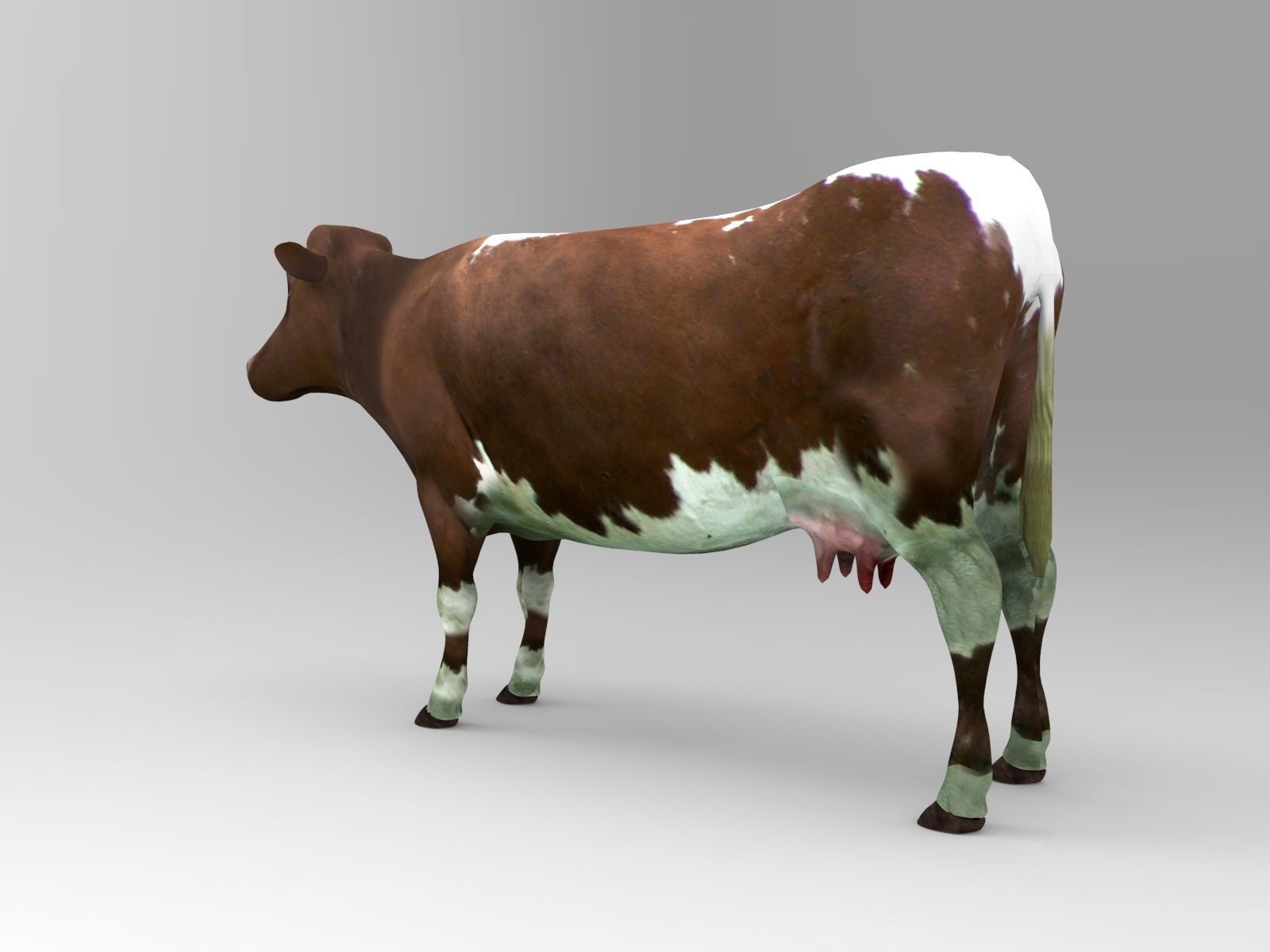 Brown Cow low poly  Low-poly 3D model_7