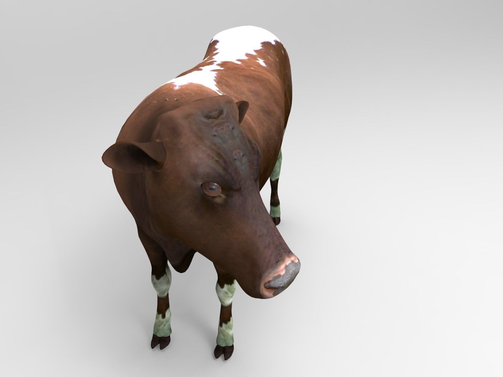 Brown Cow low poly  Low-poly 3D model_12