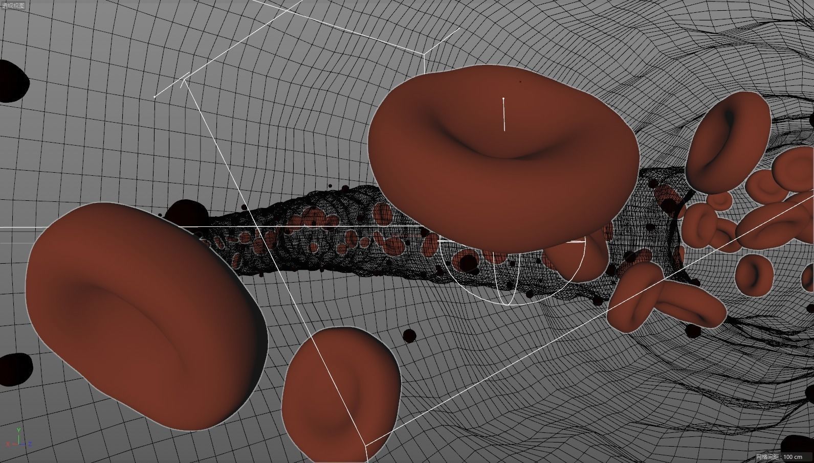 Red blood cell vessels Vascular medicine 3D model_1
