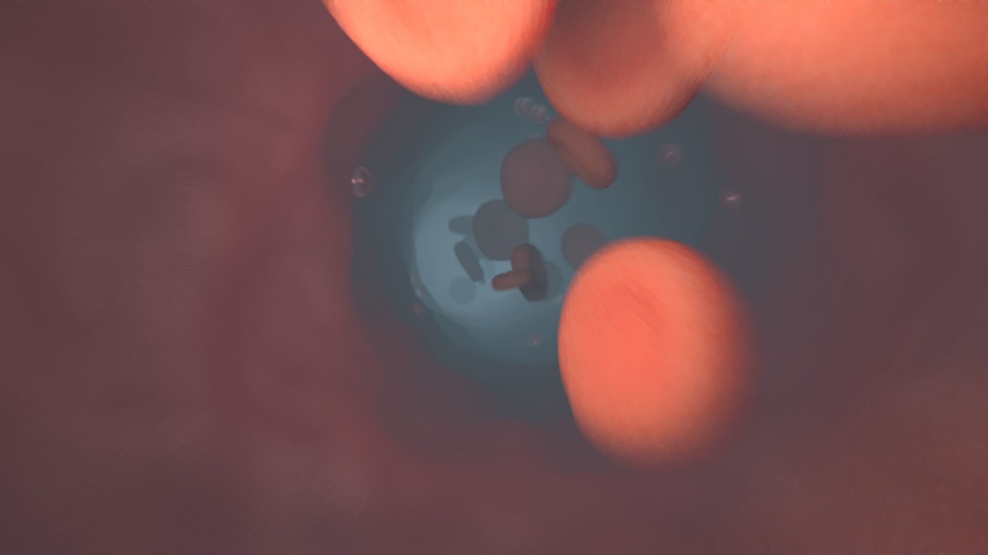 Red blood cell vessels Vascular medicine 3D model_3