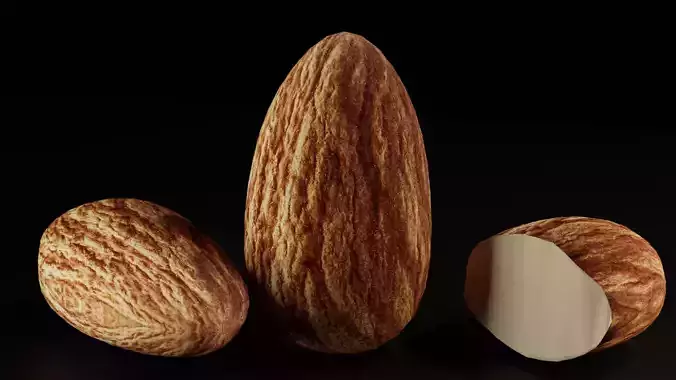 3d Model Almond Fruit 3D model