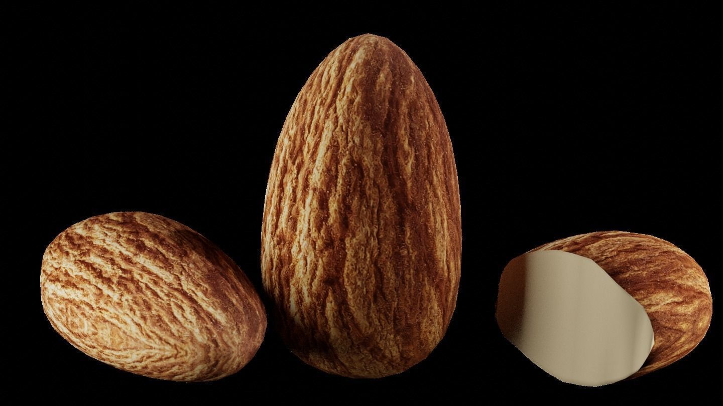 3d Model Almond Fruit 3D model_1