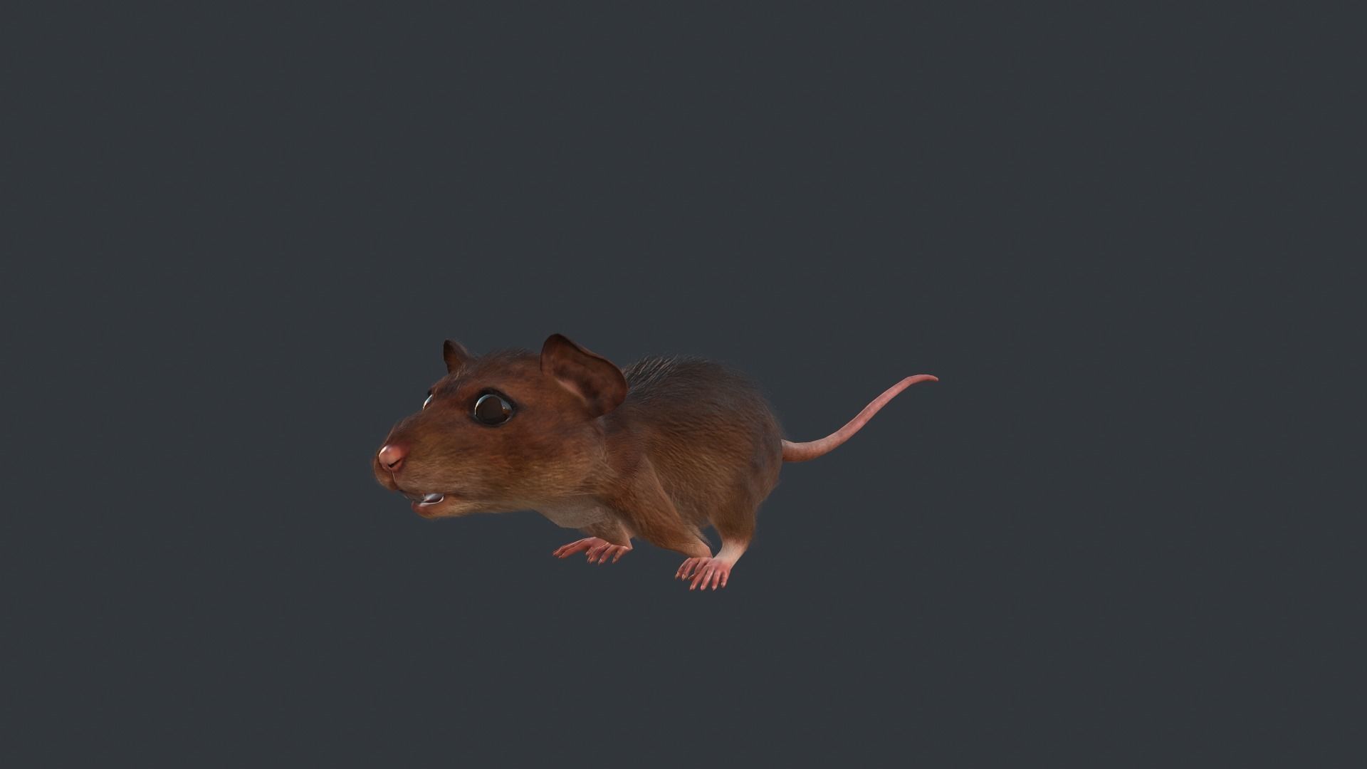 Animated mouse Low-poly 3D model_3