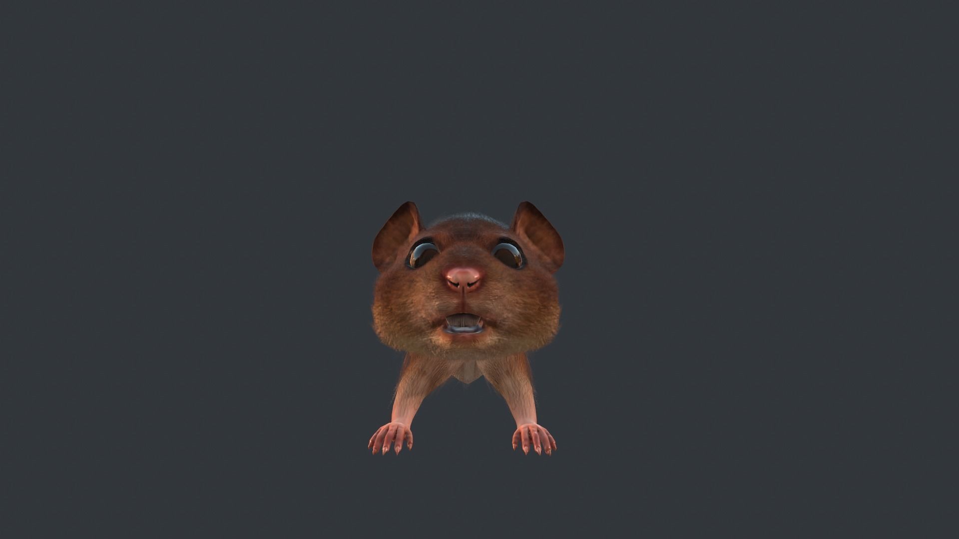 Animated mouse Low-poly 3D model_4