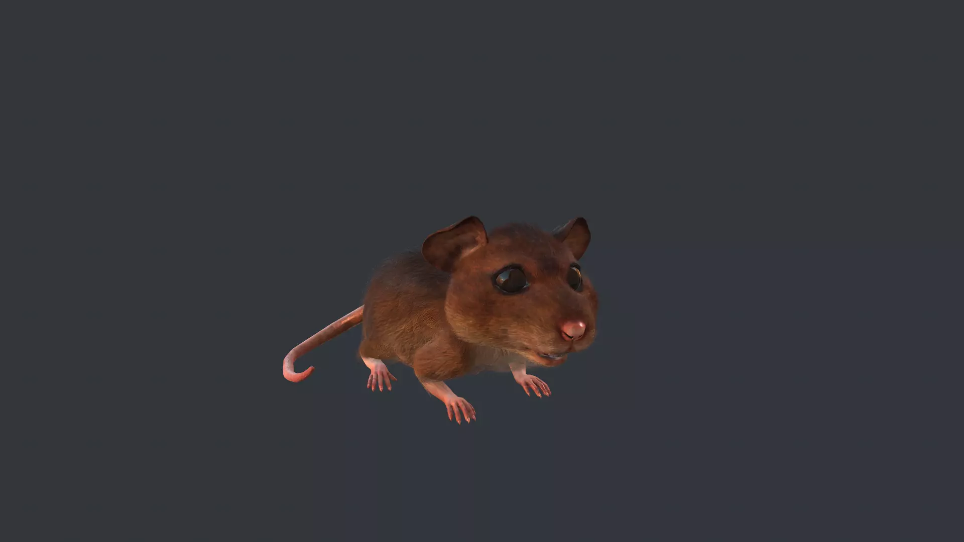 Animated mouse Low-poly 3D model_0