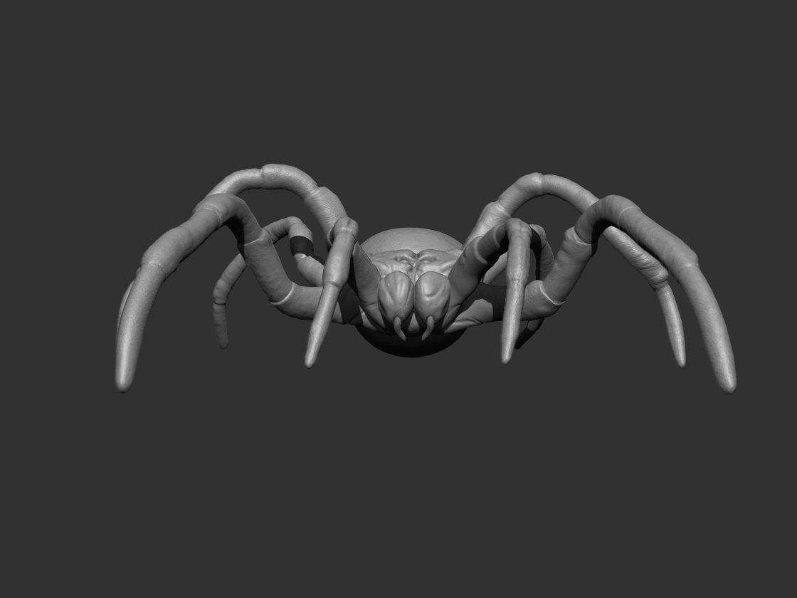 Tarantula Spider 3D print model_6